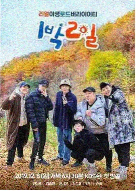 城市寻味记 综艺在线播放